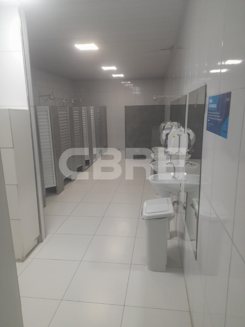 CD Aratulog - Imagem 7