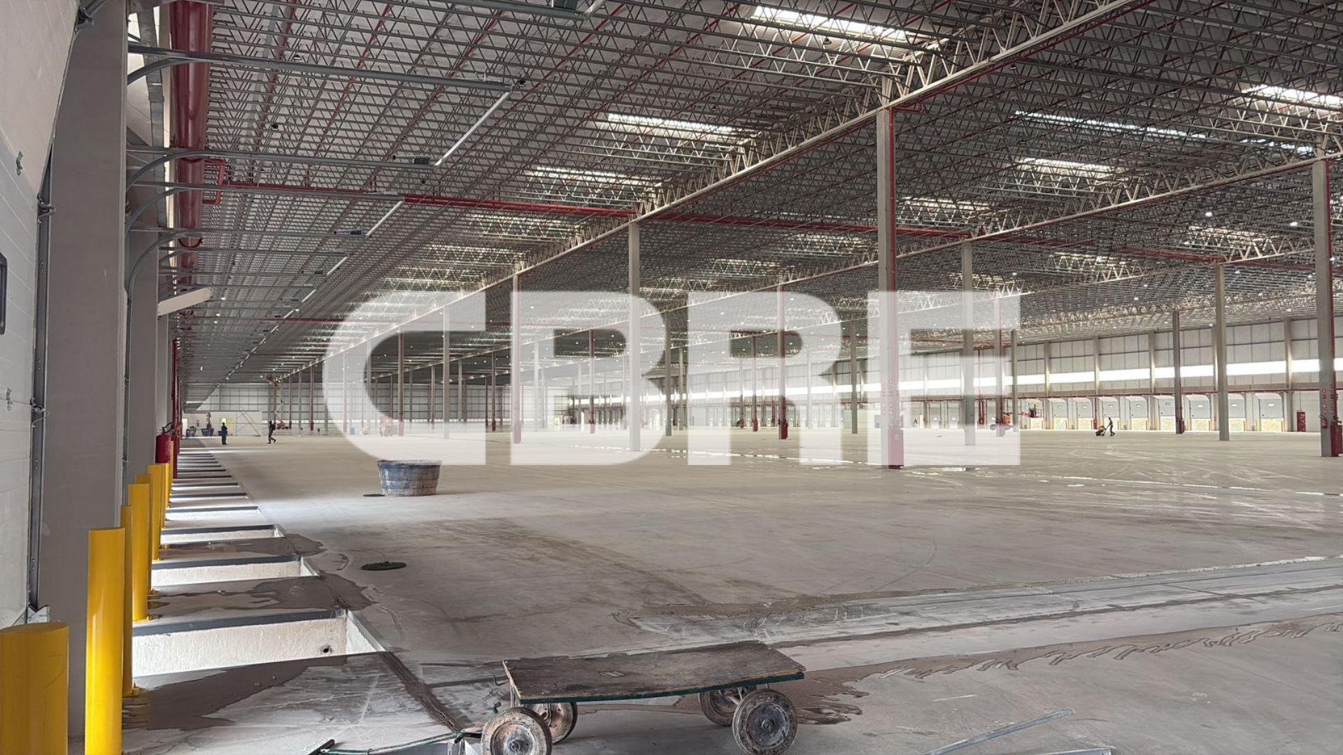 XPEX Cotagem - Imagem 7