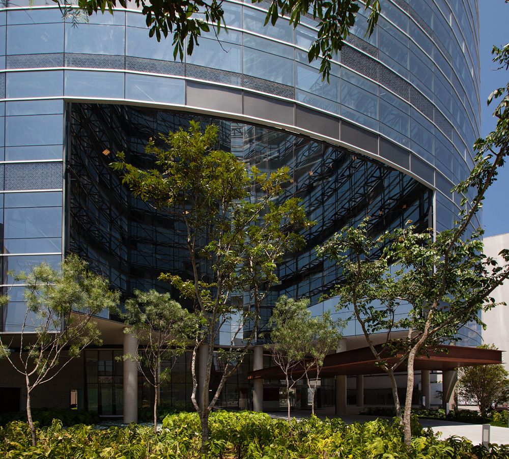 ROBERTO BRATKE - Imagem 4