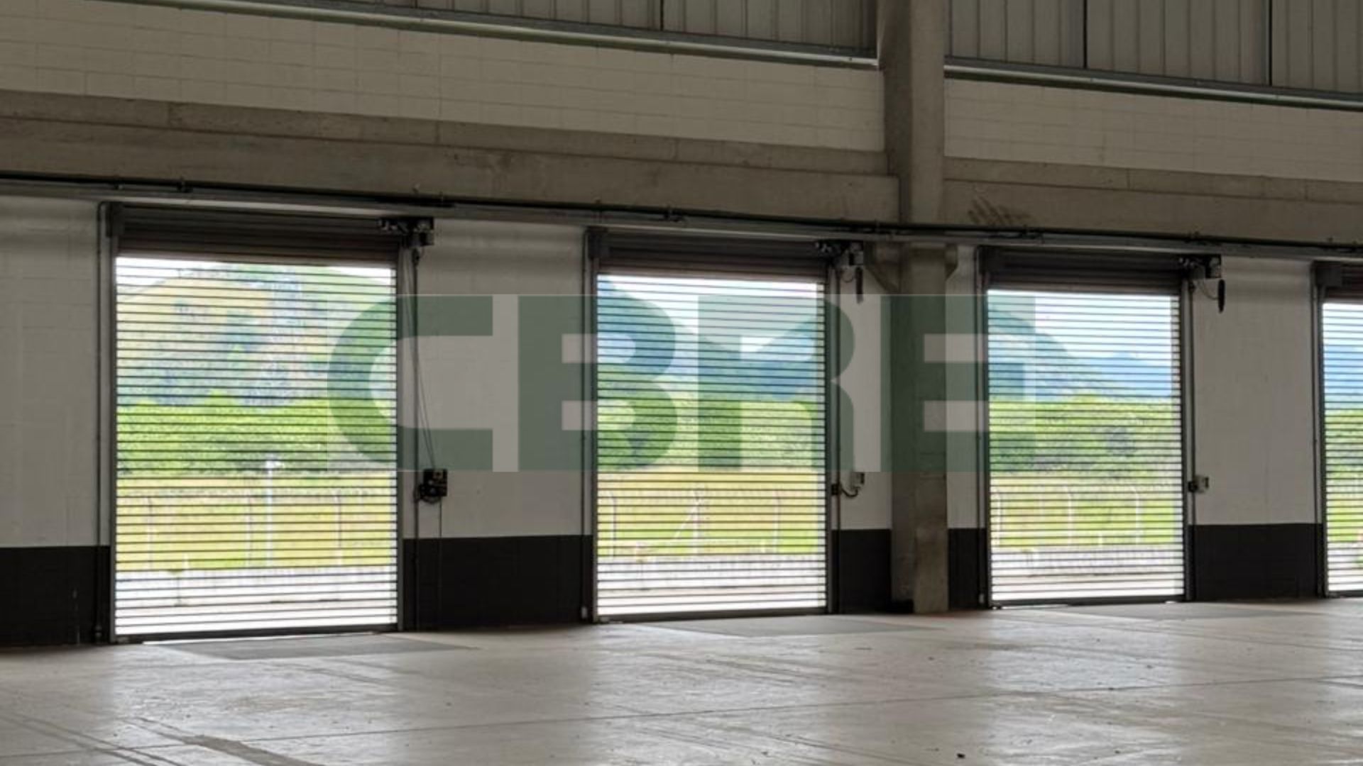 Golgi Seropédica - Imagem 6