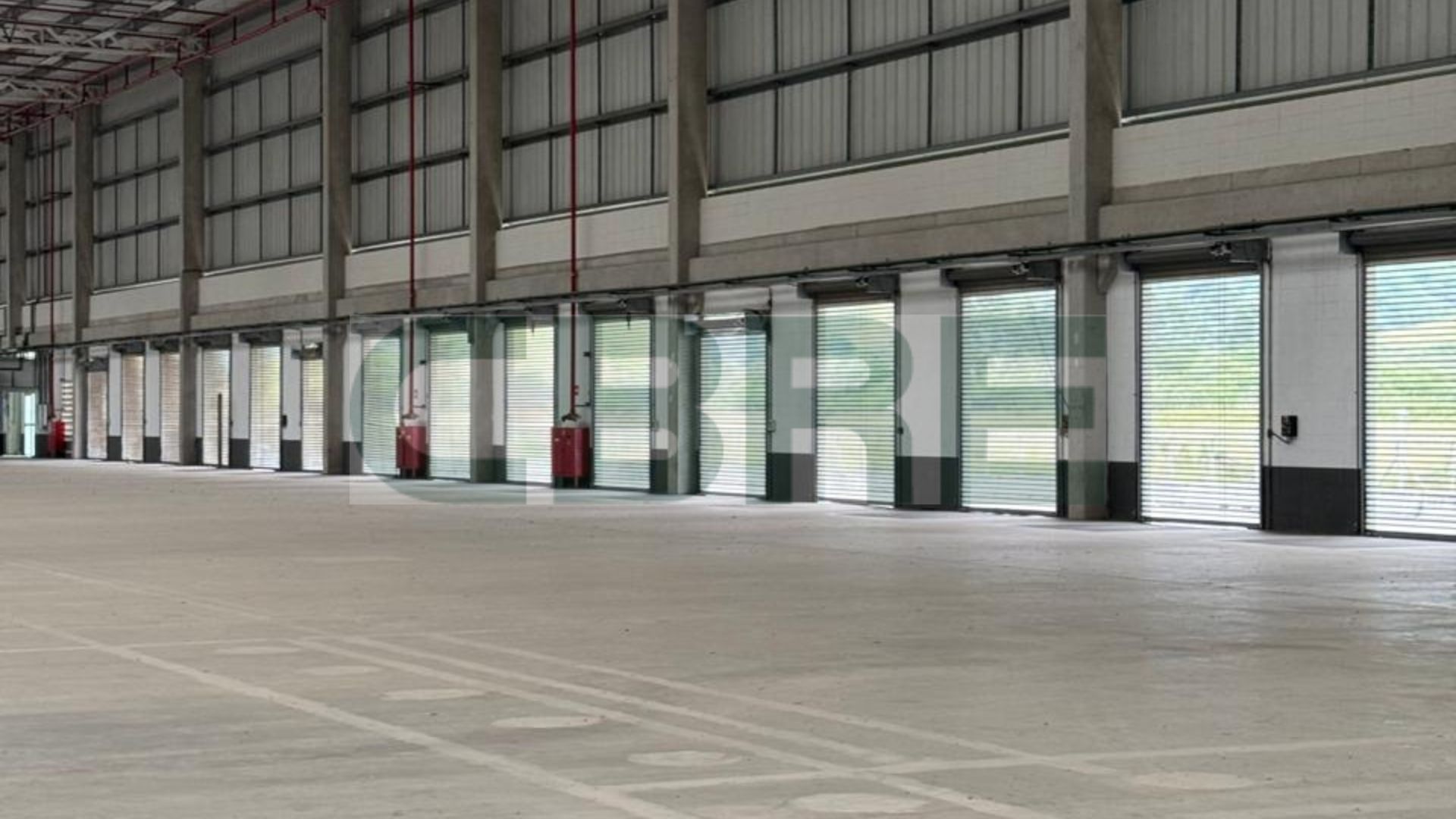 Golgi Seropédica - Imagem 7